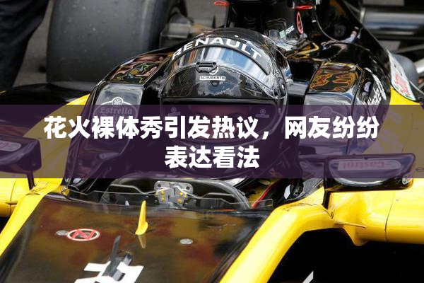 花火裸体秀引发热议，网友纷纷表达看法