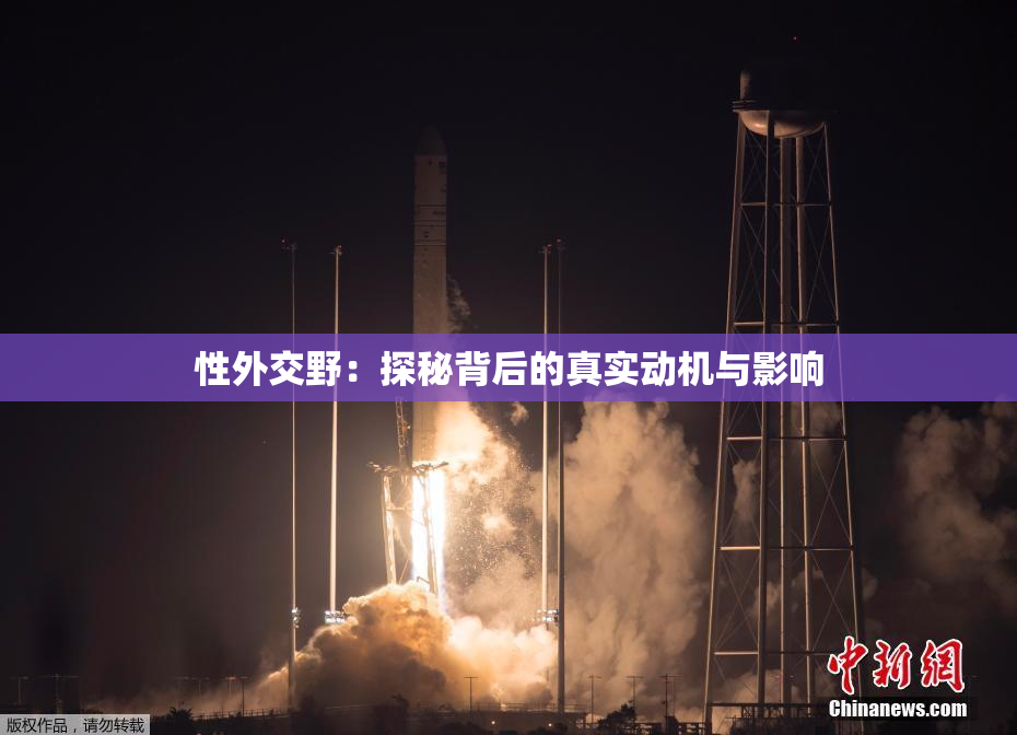 性外交野：探秘背后的真实动机与影响