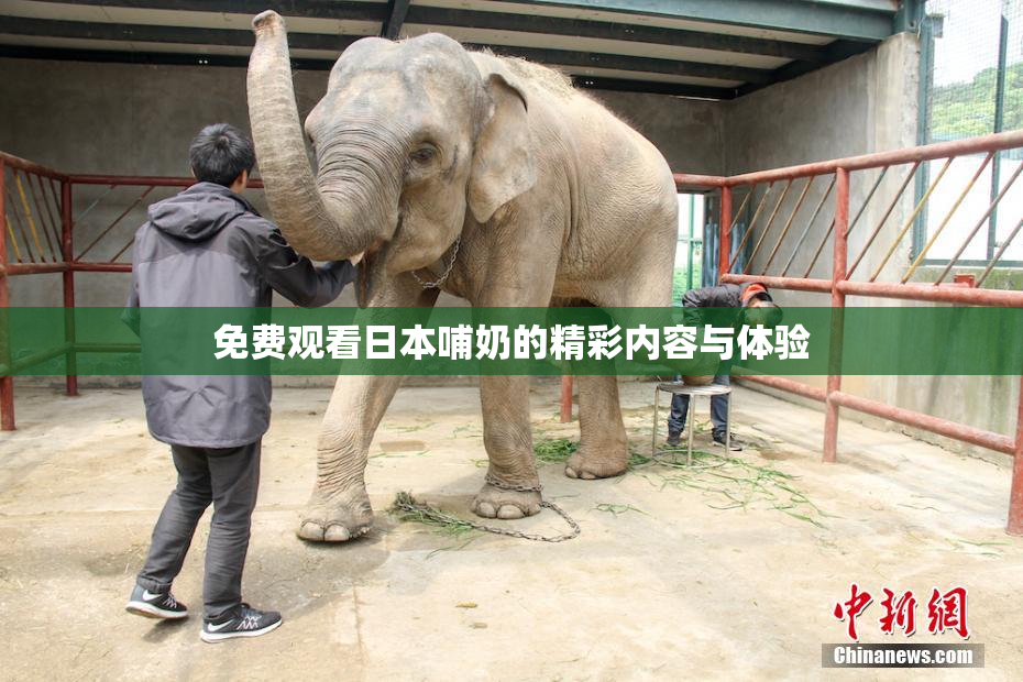 免费观看日本哺奶的精彩内容与体验