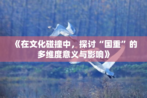 《在文化碰撞中，探讨“国重”的多维度意义与影响》