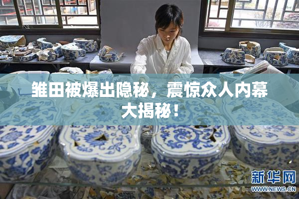 雏田被爆出隐秘，震惊众人内幕大揭秘！