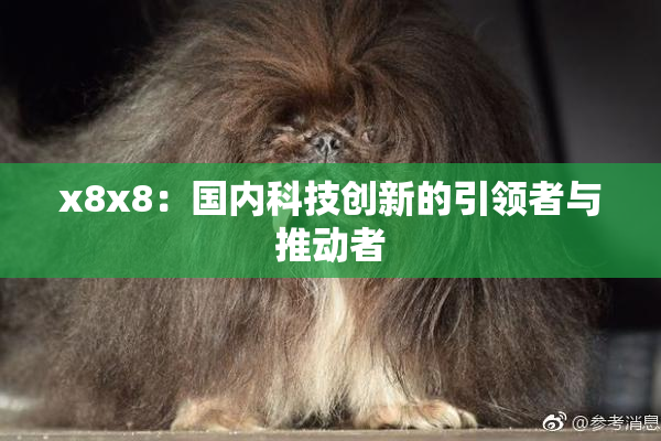 x8x8：国内科技创新的引领者与推动者
