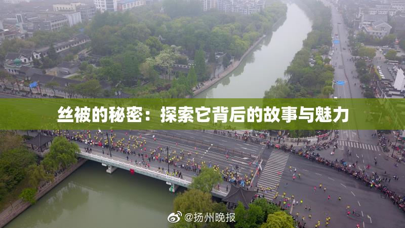 丝被的秘密：探索它背后的故事与魅力
