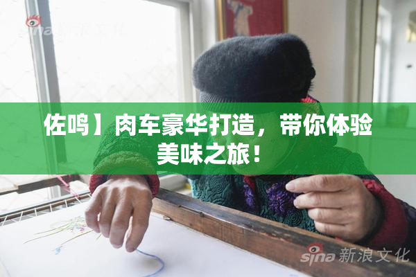 佐鸣】肉车豪华打造，带你体验美味之旅！