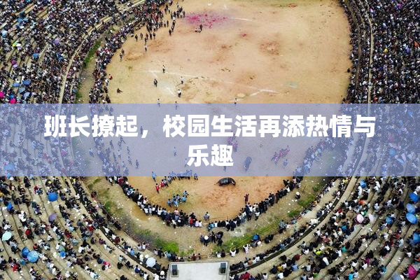 班长撩起，校园生活再添热情与乐趣