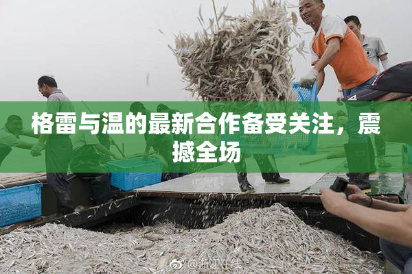 格雷与温的最新合作备受关注，震撼全场