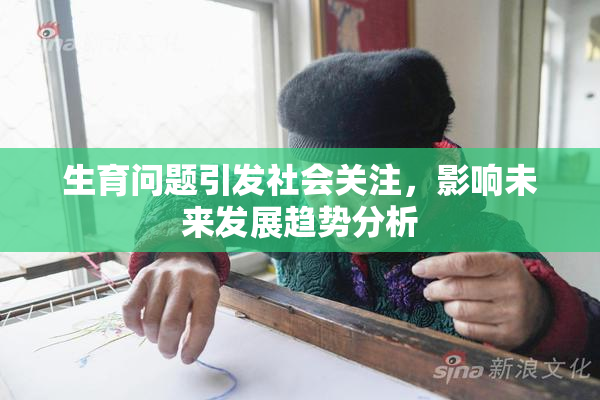 生育问题引发社会关注，影响未来发展趋势分析
