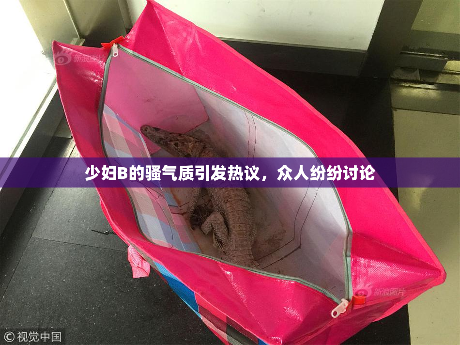 少妇B的骚气质引发热议，众人纷纷讨论