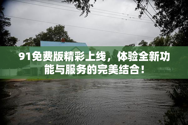 91免费版精彩上线，体验全新功能与服务的完美结合！