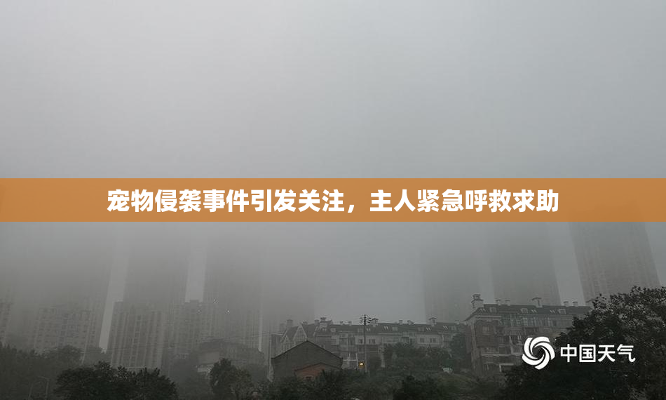 宠物侵袭事件引发关注，主人紧急呼救求助