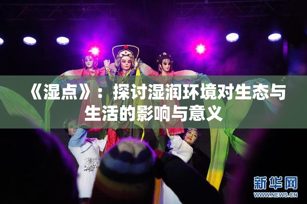 《湿点》：探讨湿润环境对生态与生活的影响与意义
