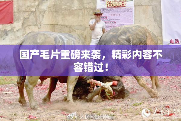 国产毛片重磅来袭，精彩内容不容错过！