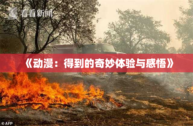 《动漫：得到的奇妙体验与感悟》