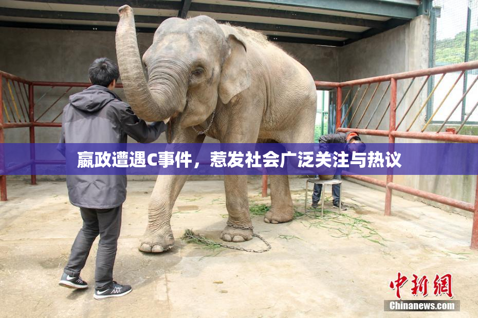 嬴政遭遇C事件，惹发社会广泛关注与热议