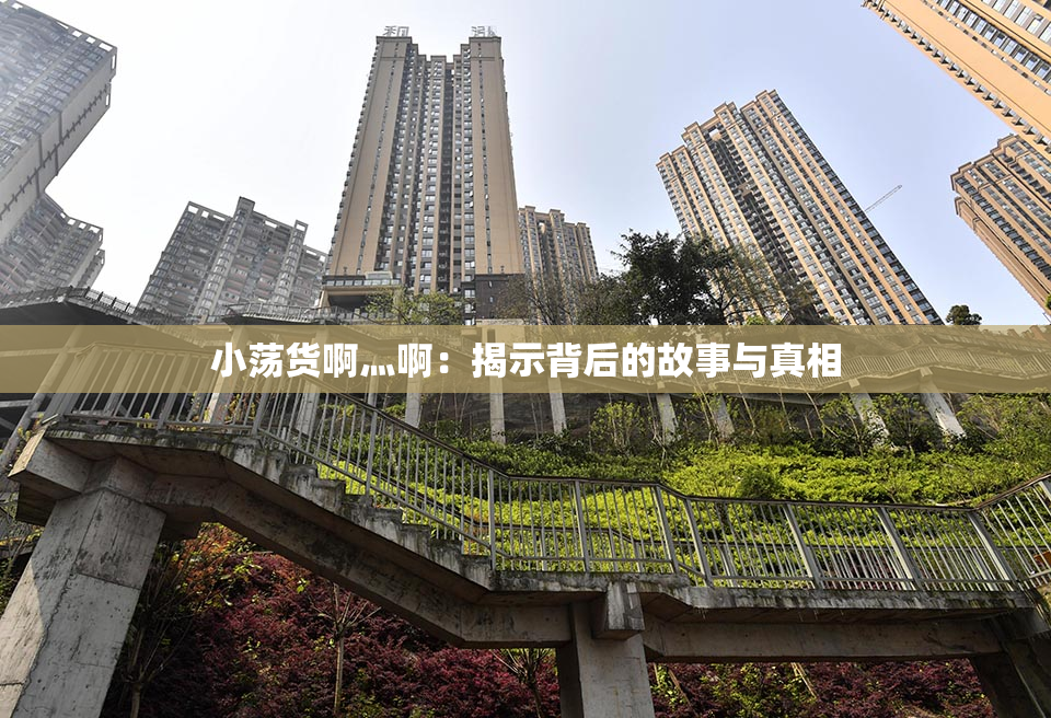 小荡货啊灬啊：揭示背后的故事与真相