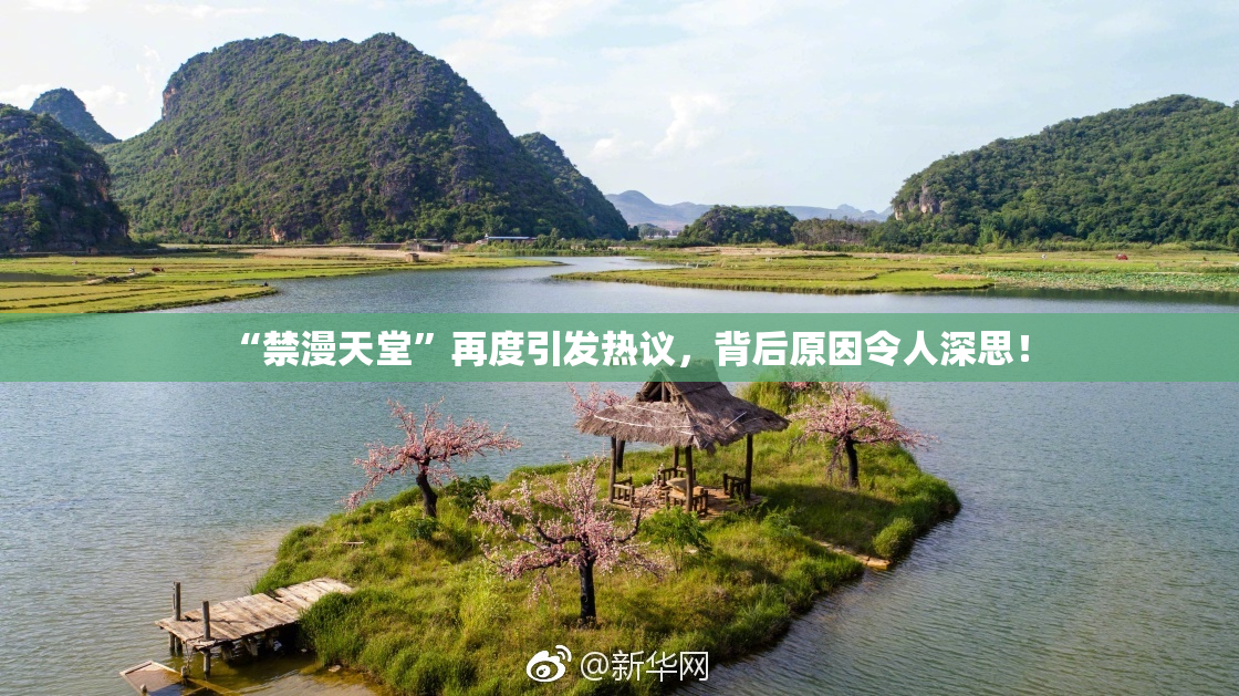 “禁漫天堂”再度引发热议，背后原因令人深思！