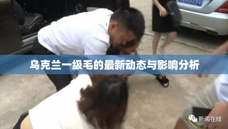 乌克兰一级毛的最新动态与影响分析