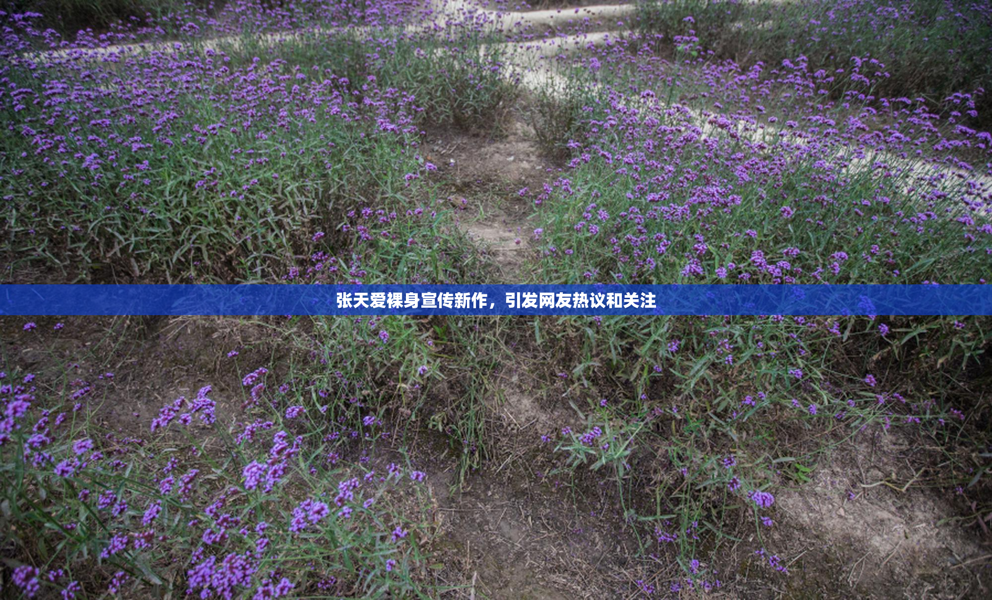 张天爱裸身宣传新作，引发网友热议和关注