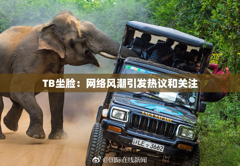TB坐脸：网络风潮引发热议和关注