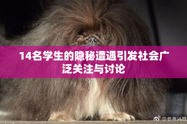 14名学生的隐秘遭遇引发社会广泛关注与讨论