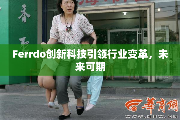 Ferrdo创新科技引领行业变革，未来可期