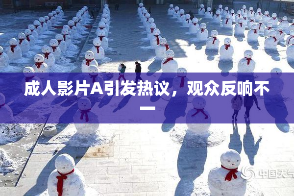 成人影片A引发热议，观众反响不一