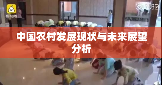 中国农村发展现状与未来展望分析