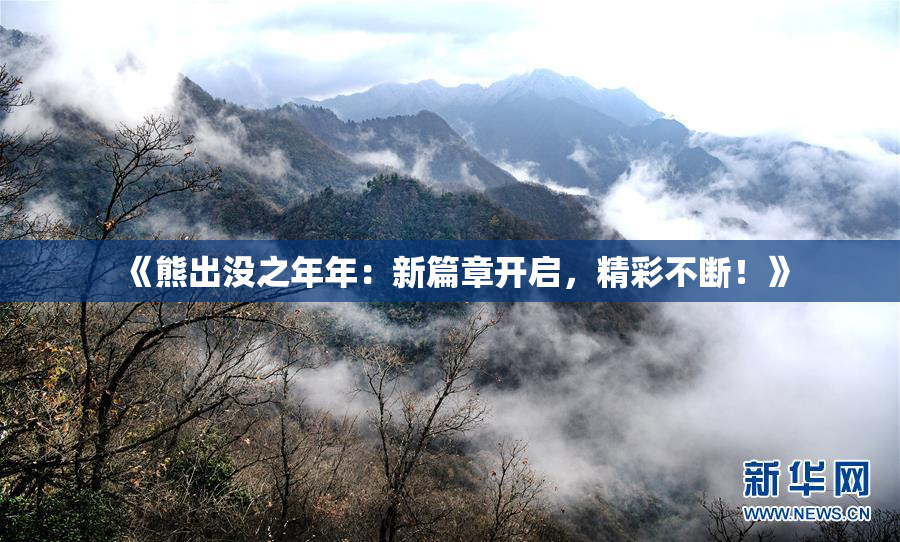 《熊出没之年年：新篇章开启，精彩不断！》