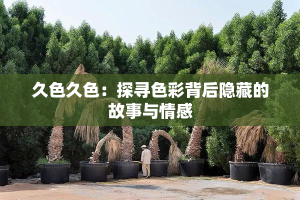 久色久色：探寻色彩背后隐藏的故事与情感