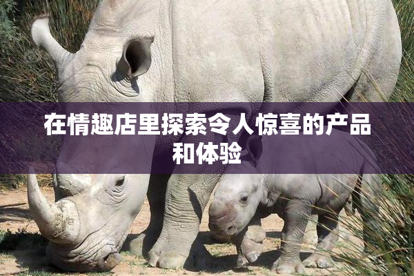 在情趣店里探索令人惊喜的产品和体验