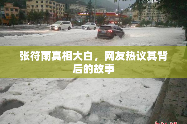 张符雨真相大白，网友热议其背后的故事