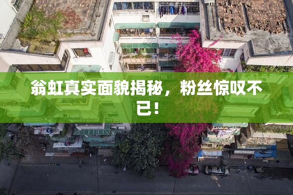 翁虹真实面貌揭秘，粉丝惊叹不已！