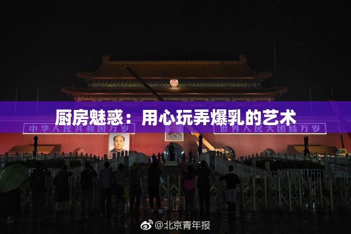 厨房魅惑：用心玩弄爆乳的艺术