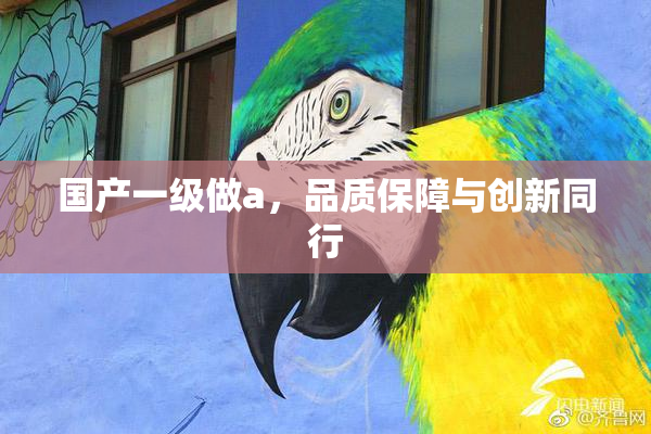 国产一级做a，品质保障与创新同行