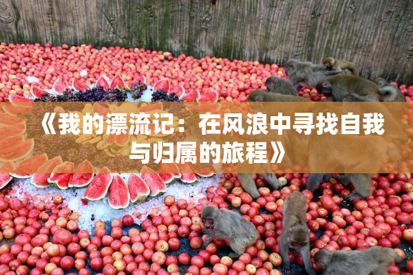 《我的漂流记：在风浪中寻找自我与归属的旅程》