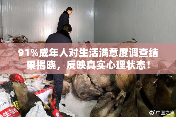 91%成年人对生活满意度调查结果揭晓，反映真实心理状态！