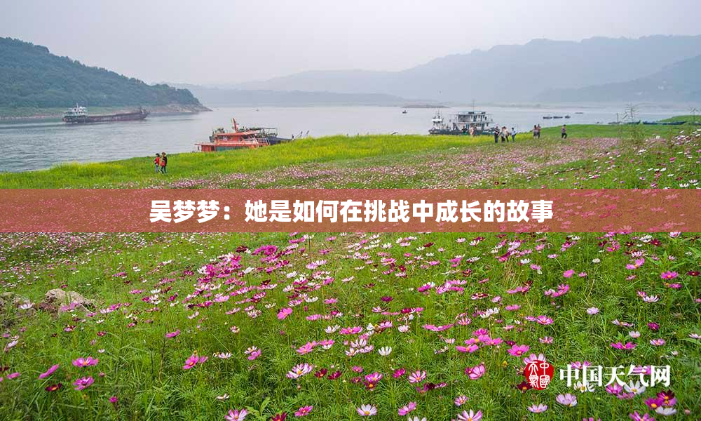 吴梦梦：她是如何在挑战中成长的故事