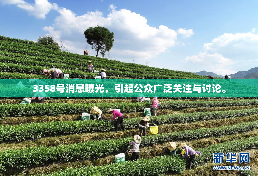 3358号消息曝光，引起公众广泛关注与讨论。
