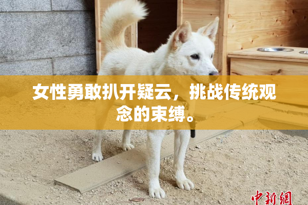 女性勇敢扒开疑云，挑战传统观念的束缚。