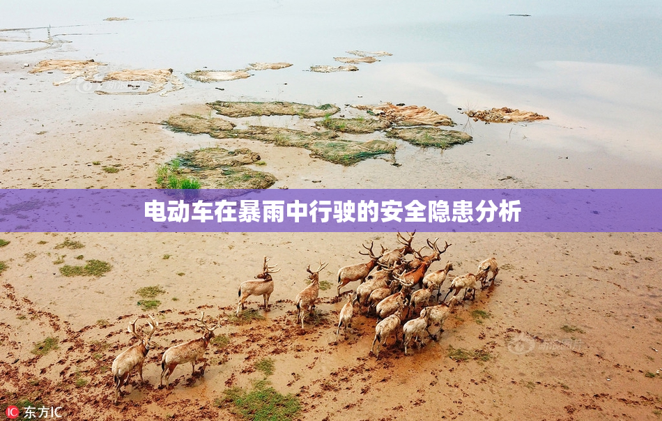 电动车在暴雨中行驶的安全隐患分析