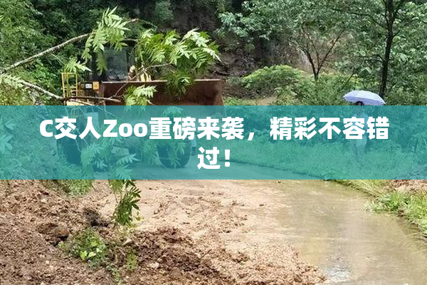 C交人Zoo重磅来袭，精彩不容错过！