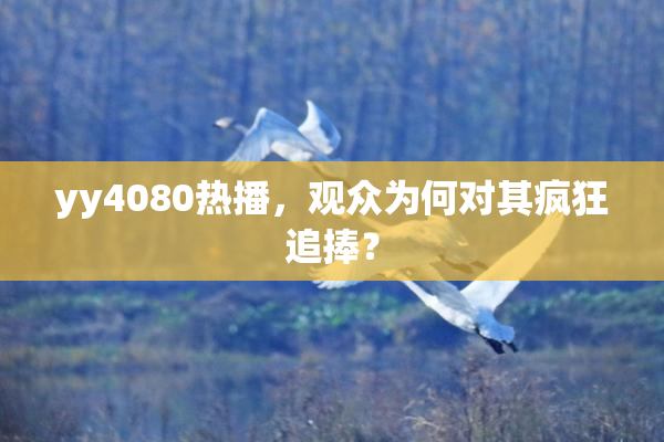 yy4080热播，观众为何对其疯狂追捧？