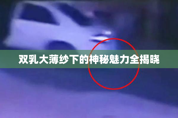 双乳大薄纱下的神秘魅力全揭晓