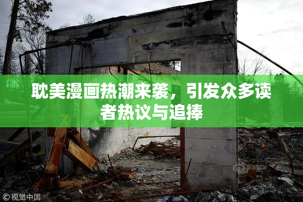耽美漫画热潮来袭，引发众多读者热议与追捧