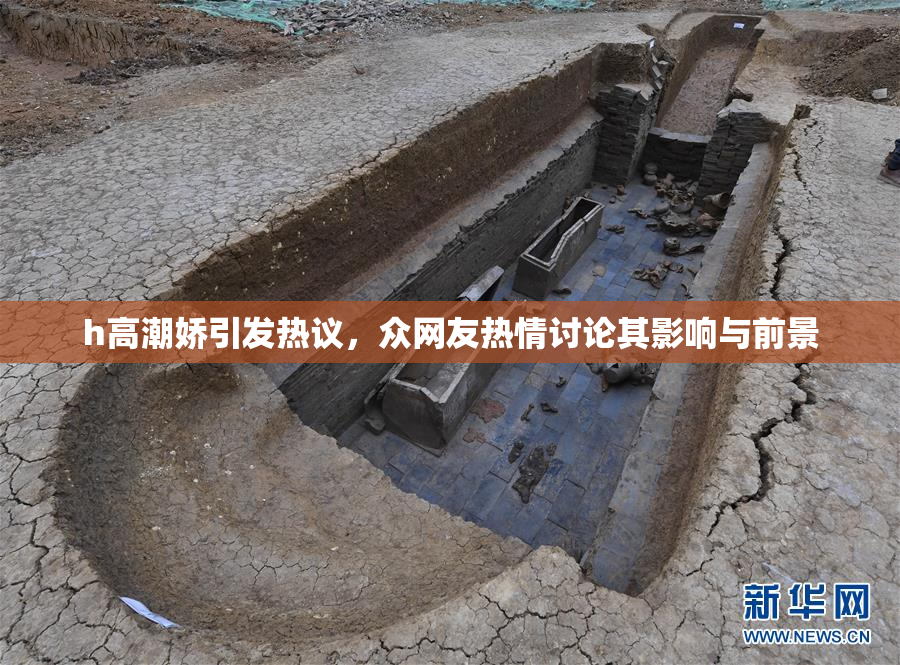 h高潮娇引发热议，众网友热情讨论其影响与前景