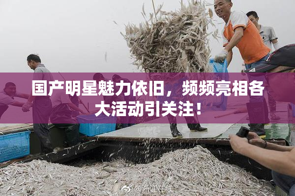 国产明星魅力依旧，频频亮相各大活动引关注！