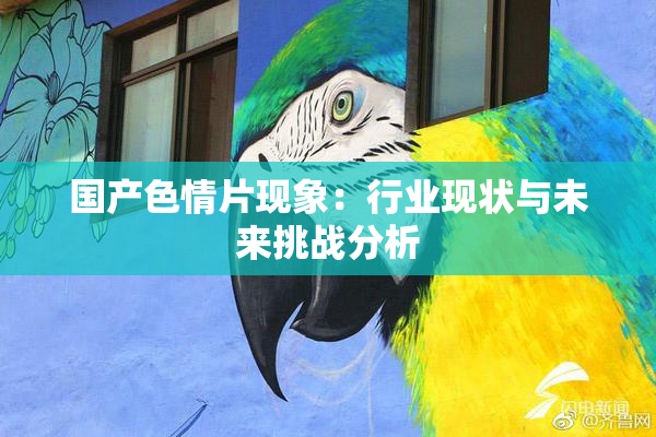 国产色情片现象：行业现状与未来挑战分析