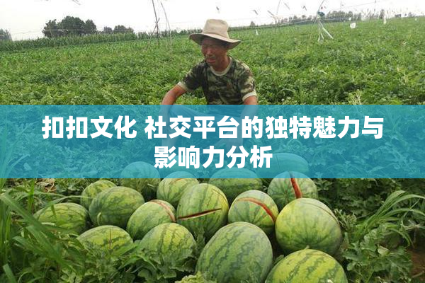 扣扣文化 社交平台的独特魅力与影响力分析