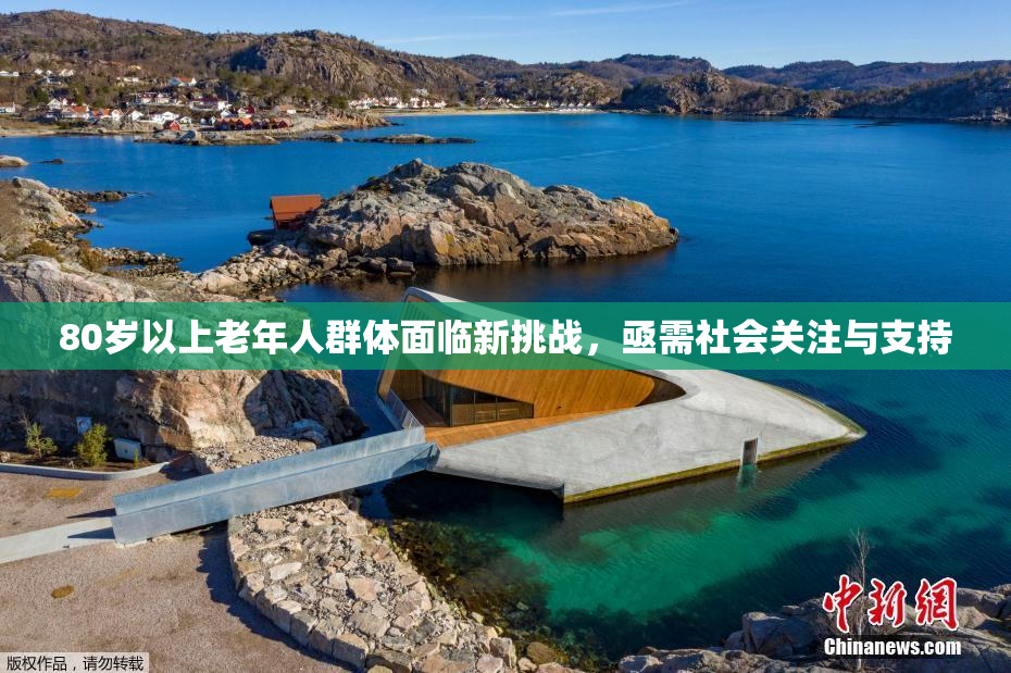 80岁以上老年人群体面临新挑战，亟需社会关注与支持
