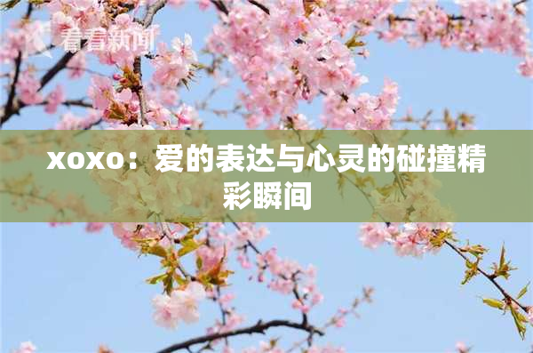 xoxo：爱的表达与心灵的碰撞精彩瞬间